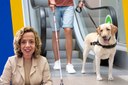Agora é Lei: Petrópolis garante acesso de pessoas com cães de assistência a espaços públicos e privados