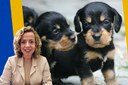 AGORA É LEI: Petrópolis institui políticas públicas para controle populacional e bem-estar de cães e gatos