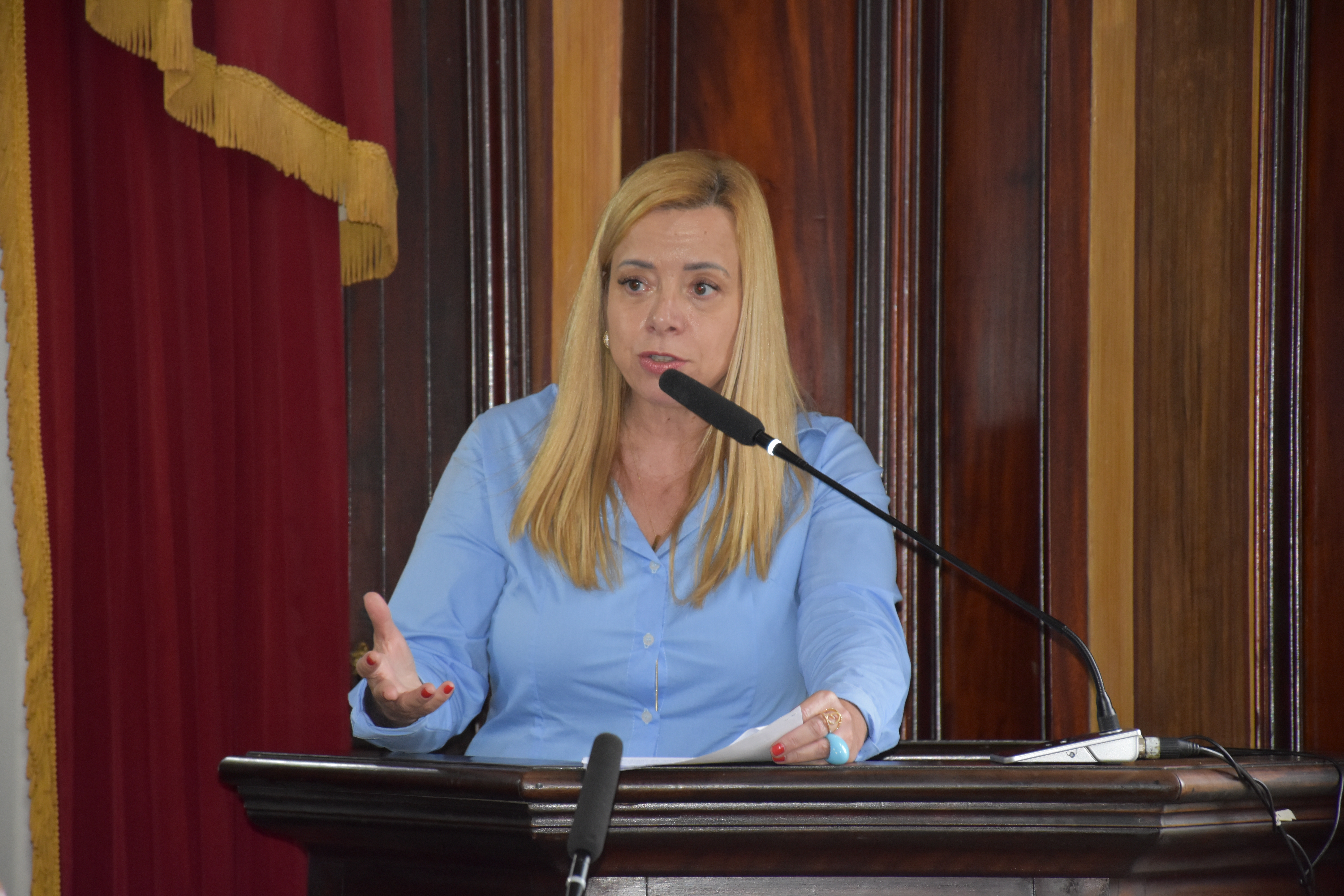 Agora é lei: Petrópolis terá Programa de Assistência Psicológica para vítimas de violência doméstica