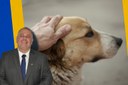 Animais desaparecidos poderão ter espaço oficial no site da Prefeitura