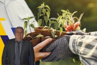 Aprovado projeto de lei que institui a Política Municipal de Agroecologia, Produção Orgânica e Alimentação Saudável