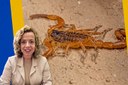 Projeto de lei propõe campanha permanente de orientação sobre acidentes com animais peçonhentos em Petrópolis