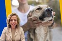 Projeto de lei que prevê divulgação de demandas e denúncias de bem-estar animal no portal da transparência de Petrópolis é aprovado