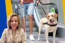 Projeto de Lei reforça direitos de pessoas com deficiências acompanhadas por cães de assistência