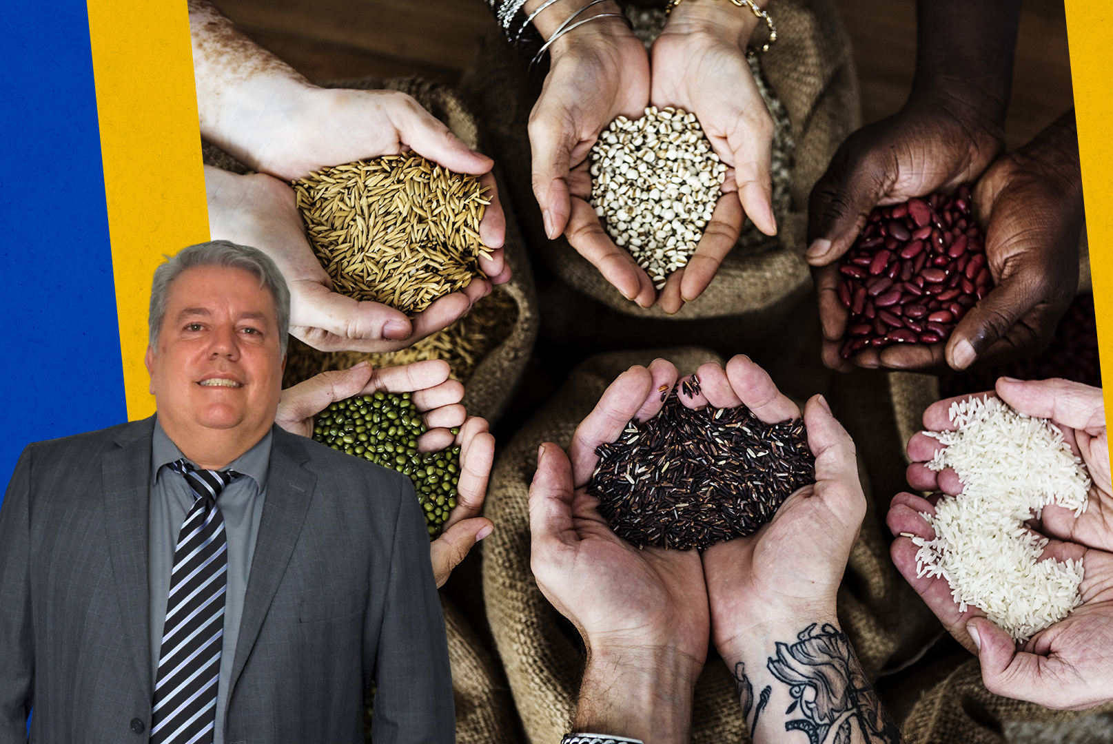 Vereador propõe Banco Municipal de Sementes como incentivo à produção agrícola sustentável